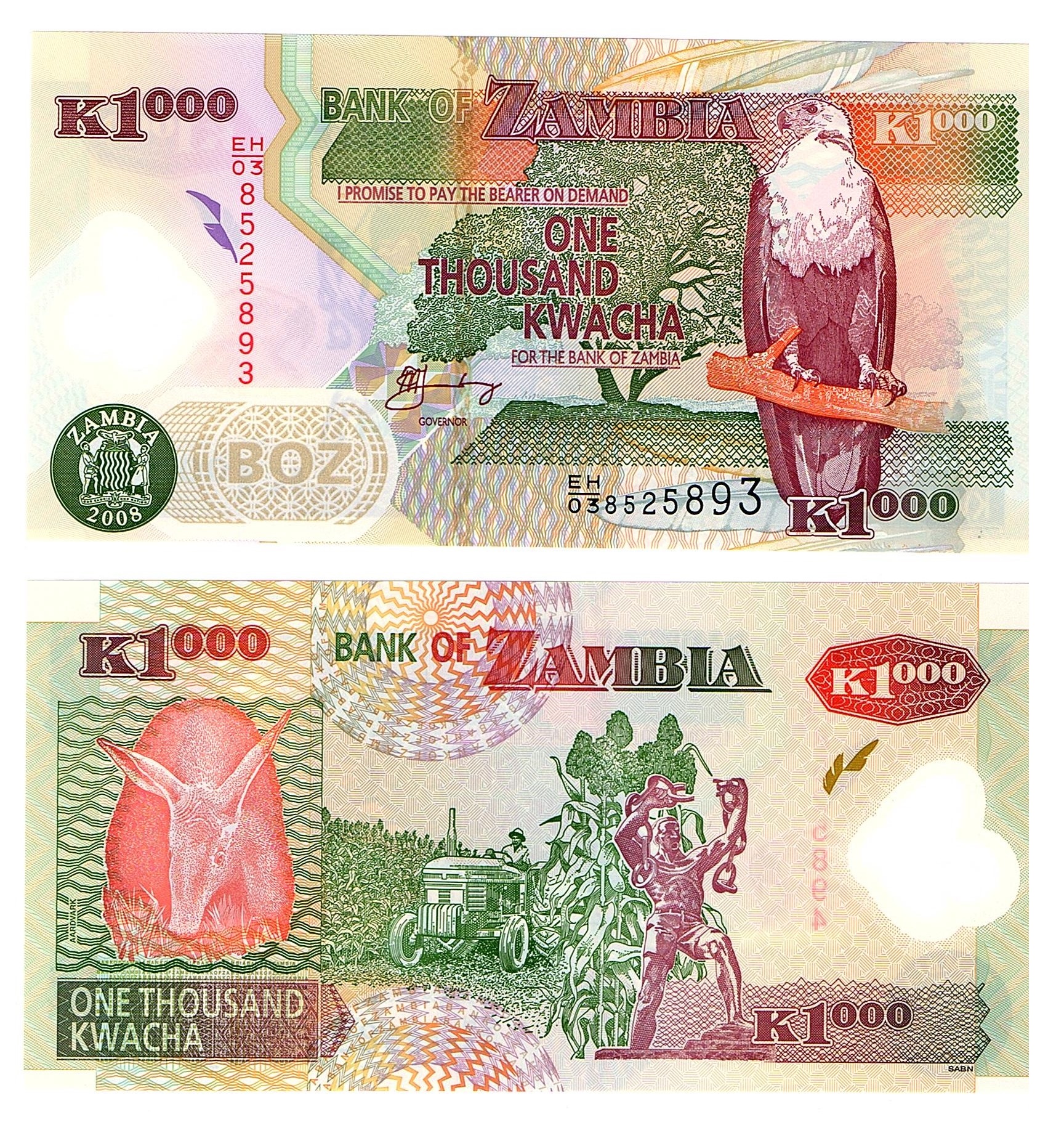 Zambia #44f-2008   1000 Kwacha
